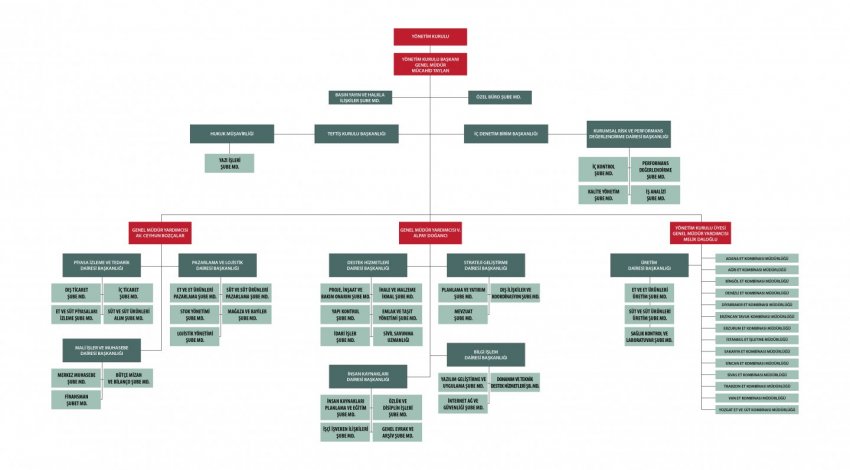 ORGANİZASYON ŞEMASI 2026