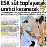 Et ve Süt Piyasalarına ESK Müdahalesi