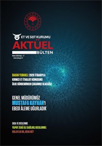 Sayı 17 ana sayfa kapak