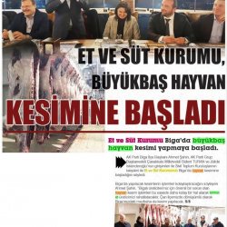 Et ve Süt Kurumu Edirne'de Büyükbaş Hayvan Kesimine Başladı