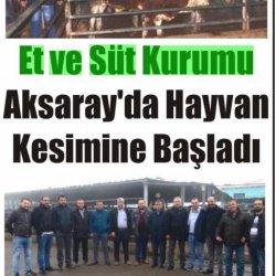 Et ve Süt Kurumu Aksaray'da Hayvan Kesimine Başladı