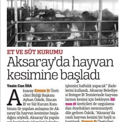Et ve Süt Kurumu Aksaray'da Hayvan Kesimine Başladı