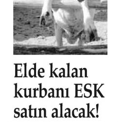 Elde Kalan Kurbanlıkları ESK alacak