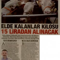 Elde Kalan Kurbanlıkları ESK alacak