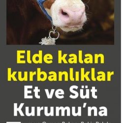 Elde Kalan Kurbanlıkları ESK alacak