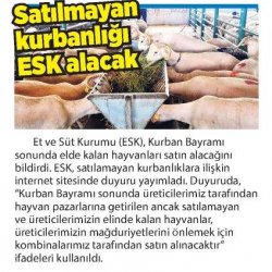 Elde Kalan Kurbanlıkları ESK alacak