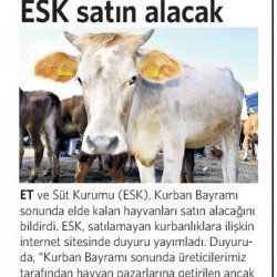 Elde Kalan Kurbanlıkları ESK alacak