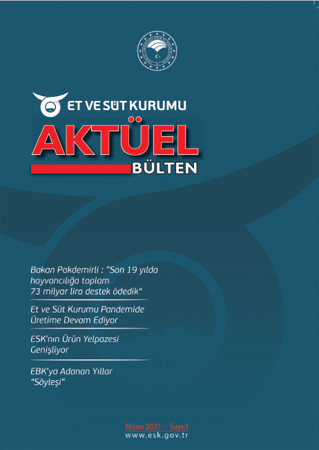 ESKAKTÜELBÜLTENSAYI1