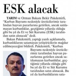 Elde Kalan Kurbanlıkları Et ve Süt Kurumu Alacak