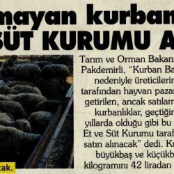 Elde Kalan Kurbanlıkları Et ve Süt Kurumu Alacak