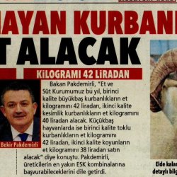 Elde Kalan Kurbanlıkları Et ve Süt Kurumu Alacak