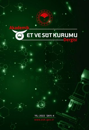 AESKD Y2022 S4 (ön kapak 001d0f)
