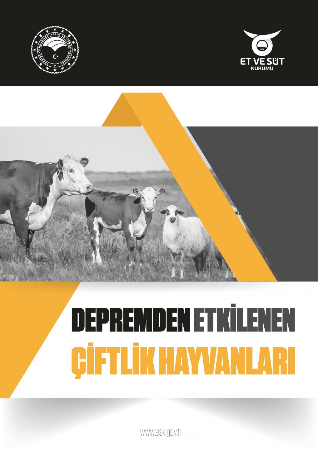 DEPREM HAYVANLARI Sayfa 1