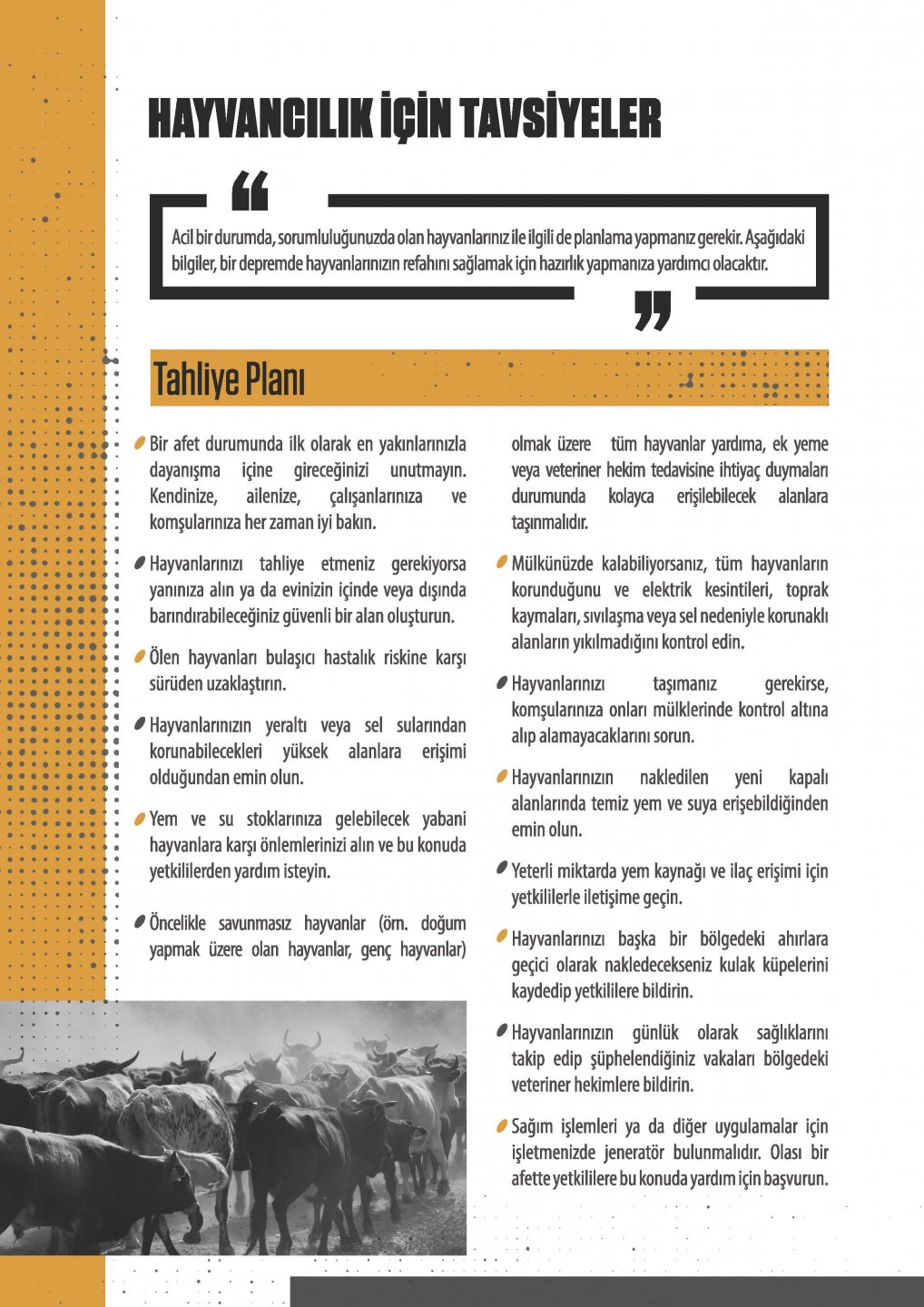 DEPREM HAYVANLARI Sayfa 2
