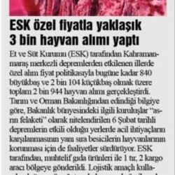 ESK Depremzede Yetiştiricilerden Özel Fiyatla Yaklaşık 3 Bin Hayvan Alımı Yaptı