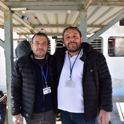 Üreticilere Besilik Danalar Teslim Edilmeye Başladı