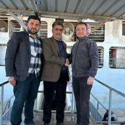 Üreticilere Besilik Danalar Teslim Edilmeye Başladı