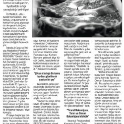 İndirimli Et Satışı Fiyat Artışını Frenliyor